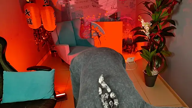 LidaDarknet webcam