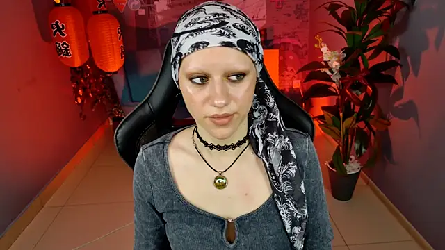 LidaDarknet webcam