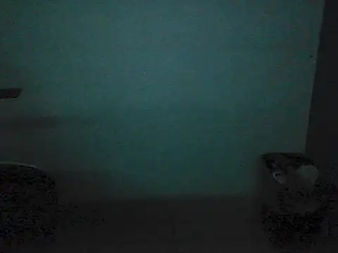 Kalel17073 webcam