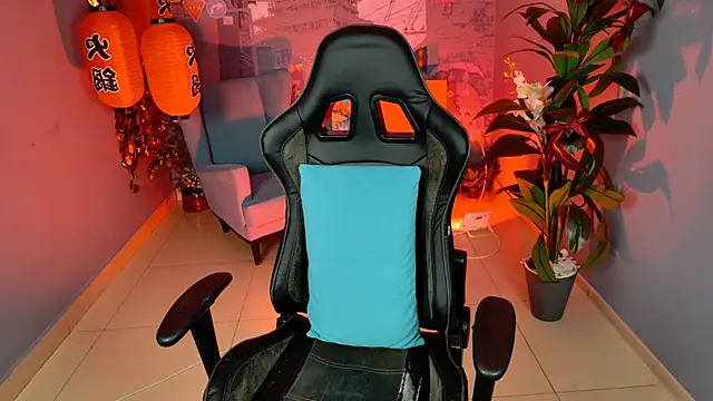 LidaDarknet webcam