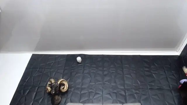 Hanna_Fox_69 webcam
