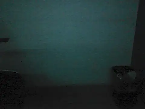 Kalel17073 webcam
