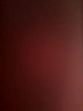 -Tara-a webcam
