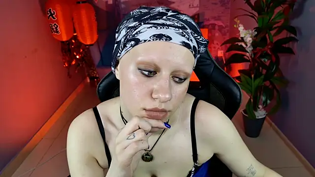 LidaDarknet webcam
