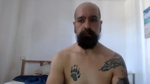 AMIRDIB2025 webcam