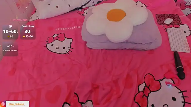 Misa_Sakurai webcam