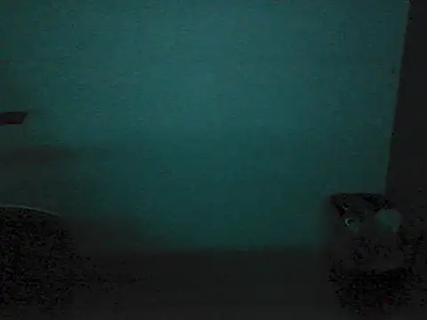 Kalel17073 webcam