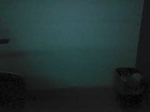 Kalel17073 webcam