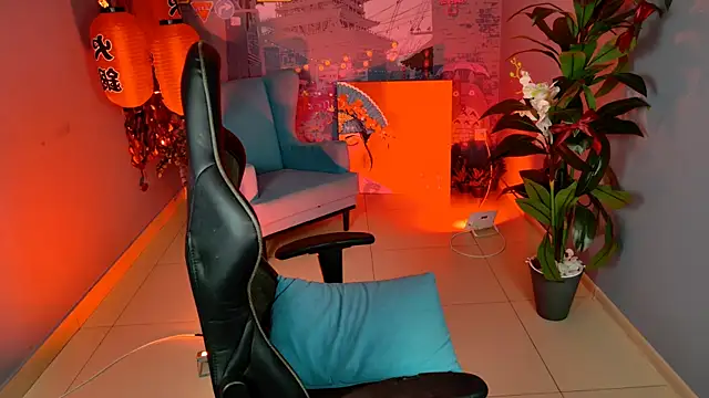 LidaDarknet webcam