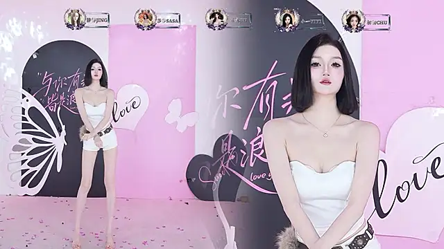 TY-002 webcam