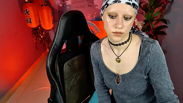 LidaDarknet webcam