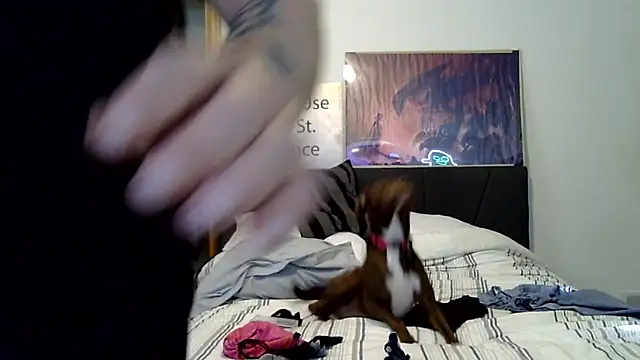 SPINonTHEM live cam