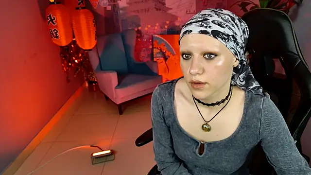 LidaDarknet webcam