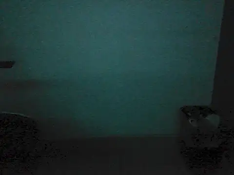 Kalel17073 webcam