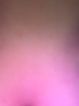 -Straycat- webcam