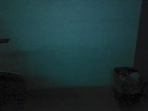 Kalel17073 webcam
