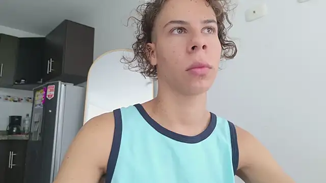 grey___27 webcam