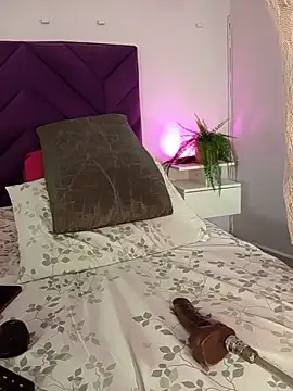 haileystone webcam