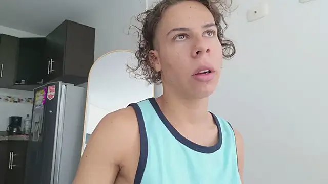 grey___27 webcam
