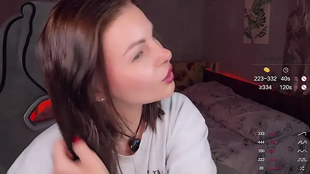 Alaska_ya webcam