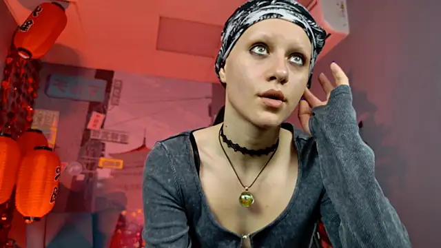 LidaDarknet webcam
