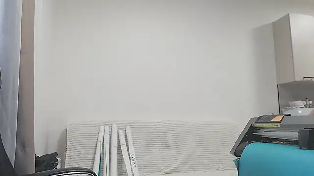 Marselle_Laker webcam