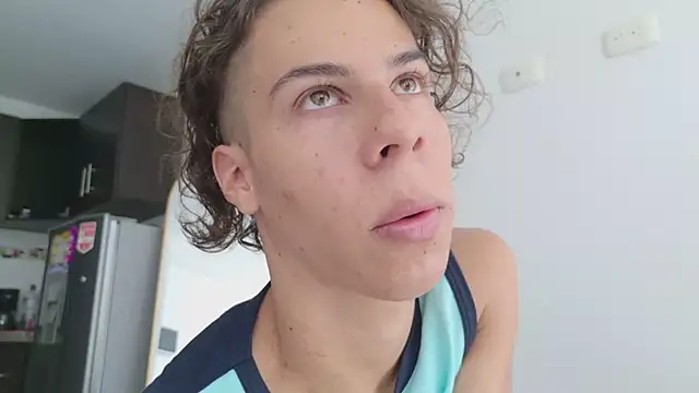 grey___27 webcam