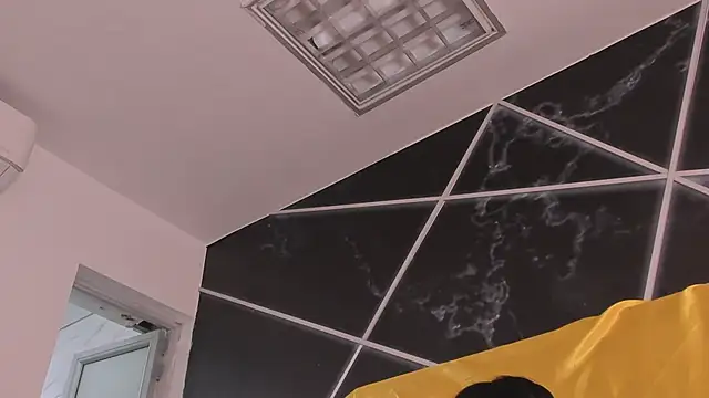 AerumChae webcam