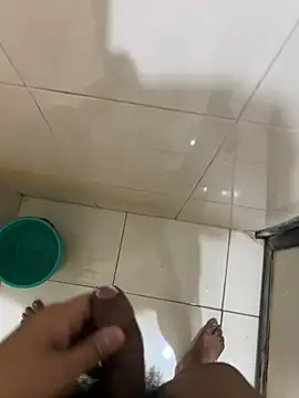 raj0608a webcam