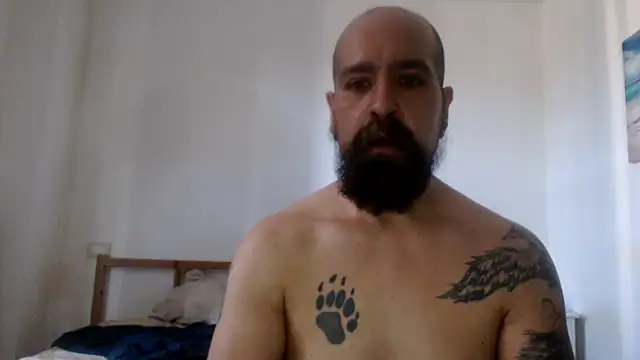 AMIRDIB2025 webcam