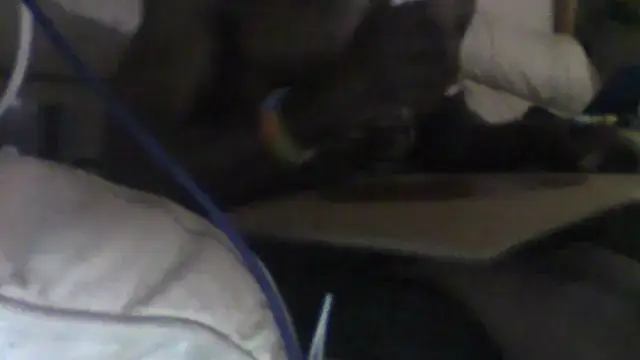 BoxlikeCondition770 webcam