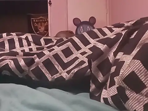 Blkstylion webcam