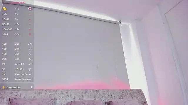 artmiaa webcam