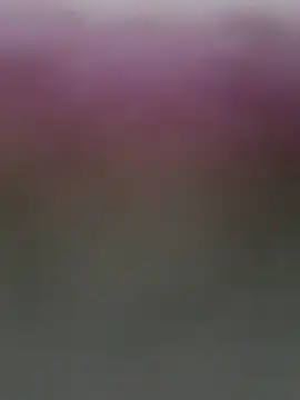 biggandybig webcam