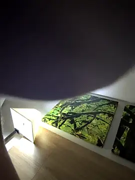 high3ndlowlife webcam