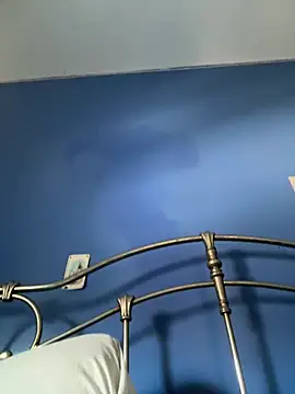 stevo170t webcam
