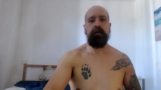 AMIRDIB2025 webcam