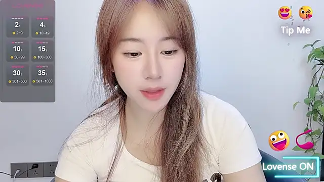 Baixi-01 webcam