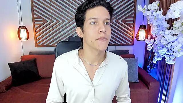 LevinFox webcam