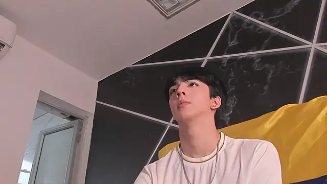 AerumChae webcam