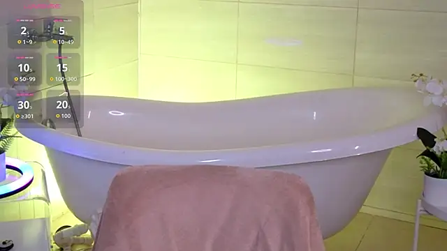 Aurora_Paradise webcam