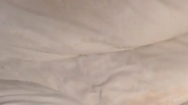 TightAssMom webcam