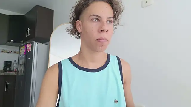 grey___27 webcam