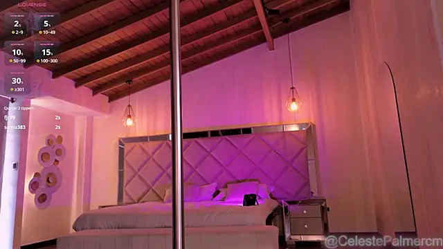 CelestePalmer_ webcam