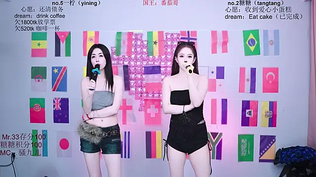 CCTW-100 webcam