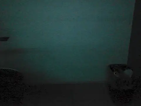 Kalel17073 webcam