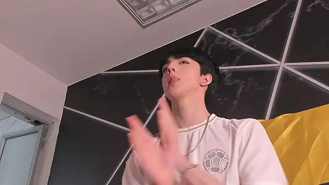 AerumChae webcam