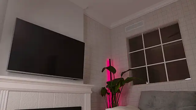 WelliCaren webcam