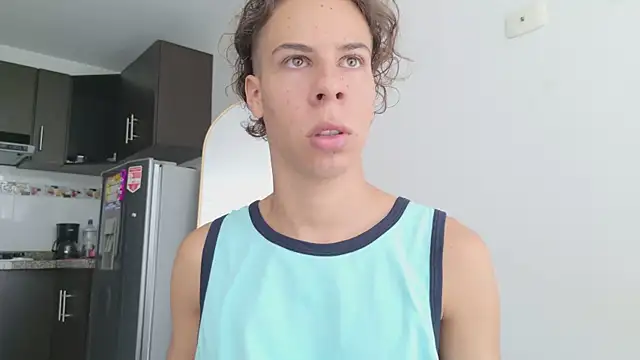 grey___27 webcam