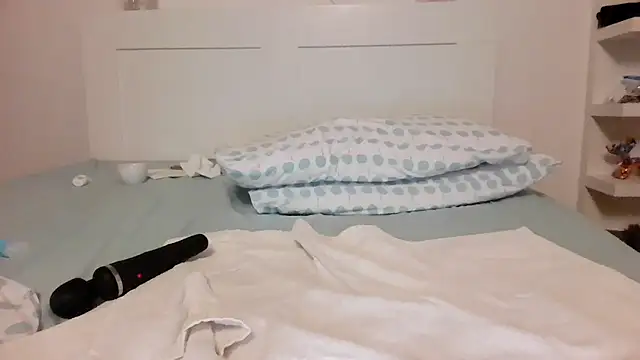 ada_in_europe webcam